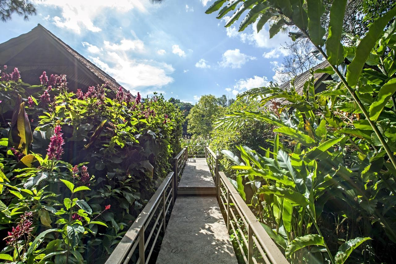 Khaokhoherbary Organicfarm&Resort Khao Kho Extérieur photo