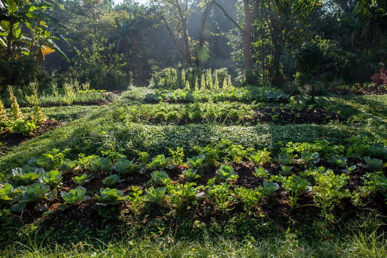 Khaokhoherbary Organicfarm&Resort Khao Kho Extérieur photo